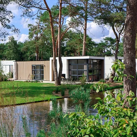 Modern Chalet With A Nice Fireplace, On The Veluwe Holiday home
