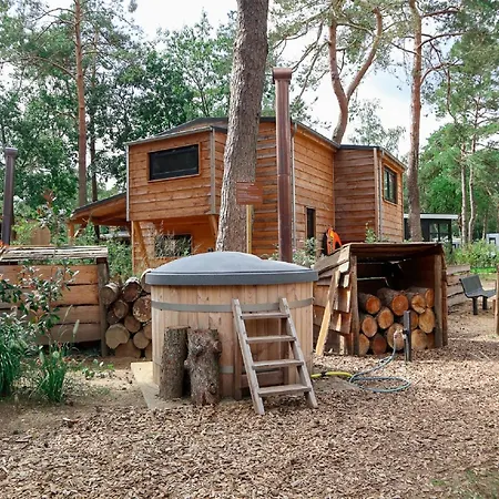 Modern Chalet With A Nice Fireplace, On The Veluwe Holiday home
