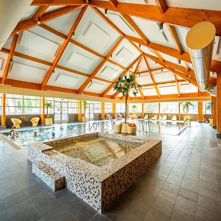 Modern Chalet With A Nice Fireplace, On The Veluwe Holiday home