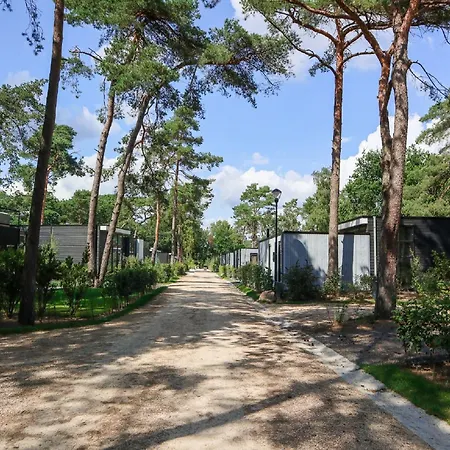 Modern Chalet With A Nice Fireplace, On The Veluwe Holiday home